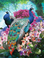 SUN42374 PRETTY PEACOCK 300 PCE