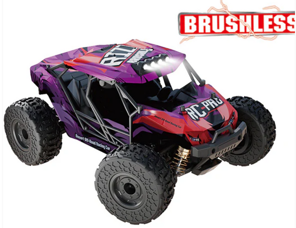 RCP1152 1/18 RIZZ 4WD BRUSHLESS RTR